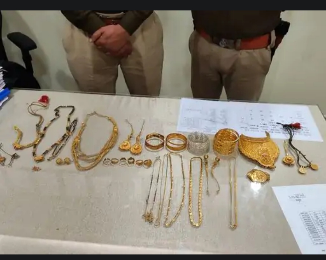 हर घर आलीशान, हर परिवार में लग्जरी कारः एमपी के इस गांव में हजार से ज्यादा वारंटी; देश की बड़ी चोरियों के आरोपी यहां मिले