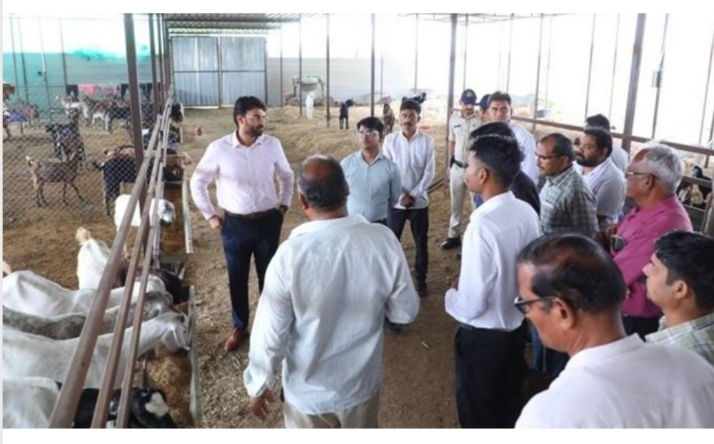कलेक्‍टर हिमांशु चंद्रा ने किया जूना मालाहेड़ा में एक करोड़ की लागत से स्‍थापित बकरी पालन प्रोजेक्‍ट का निरीक्षण, दिए आवश्यक दिशा-