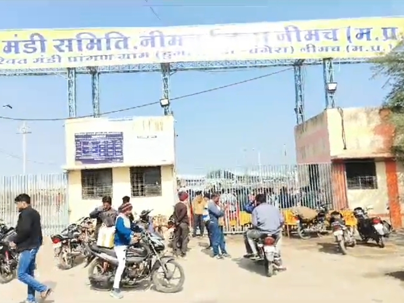 नई मंडी चंगेरा -डुंगलावदा में 2 फरवरी 2026 से शुरू होगी पोस्तादाना की नीलामी 