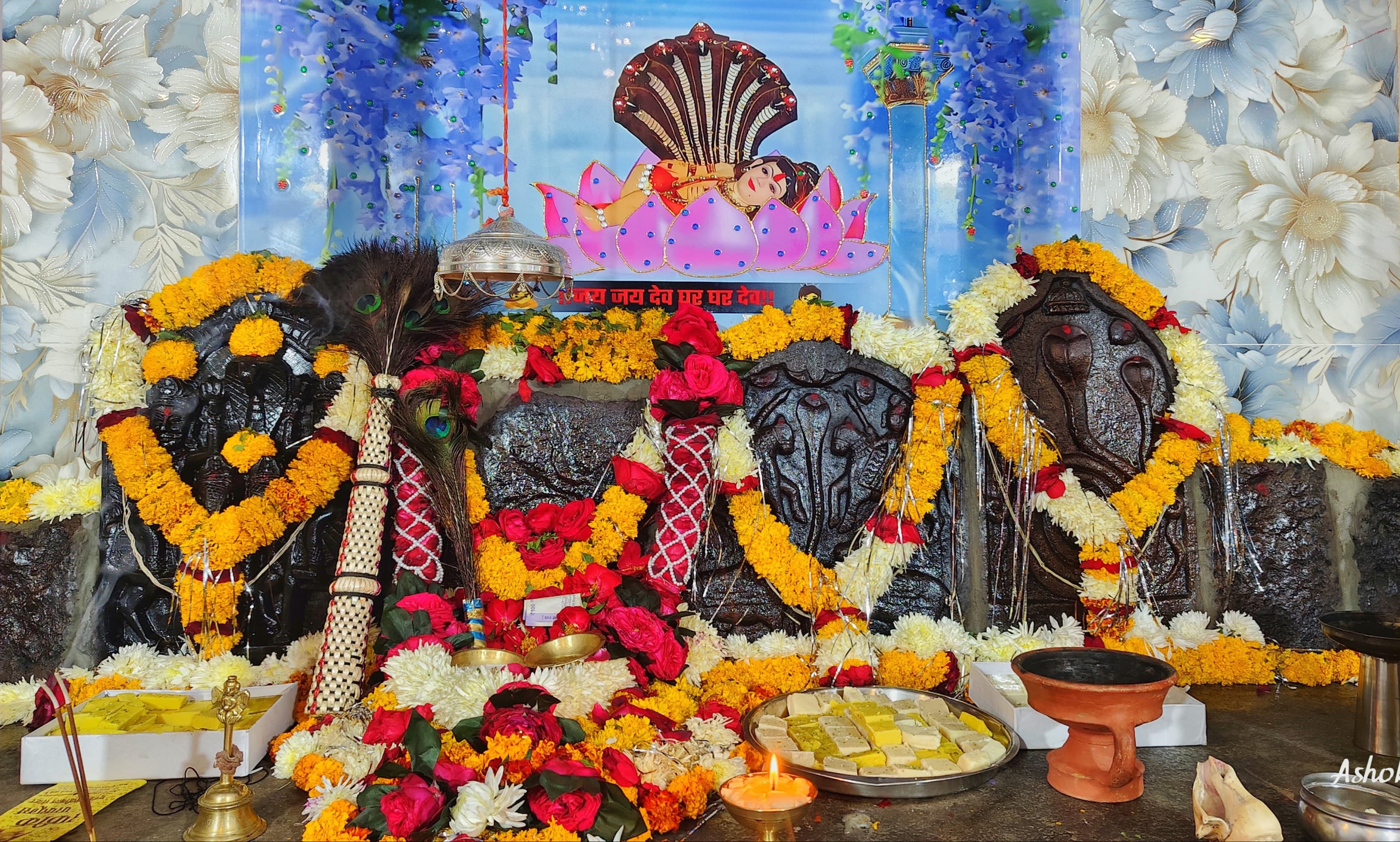अरनिया बोराना में धूमधाम से मनाया जाएगा श्री देवनारायण जन्मोत्सव, निकलेगी भव्य शोभायात्रा