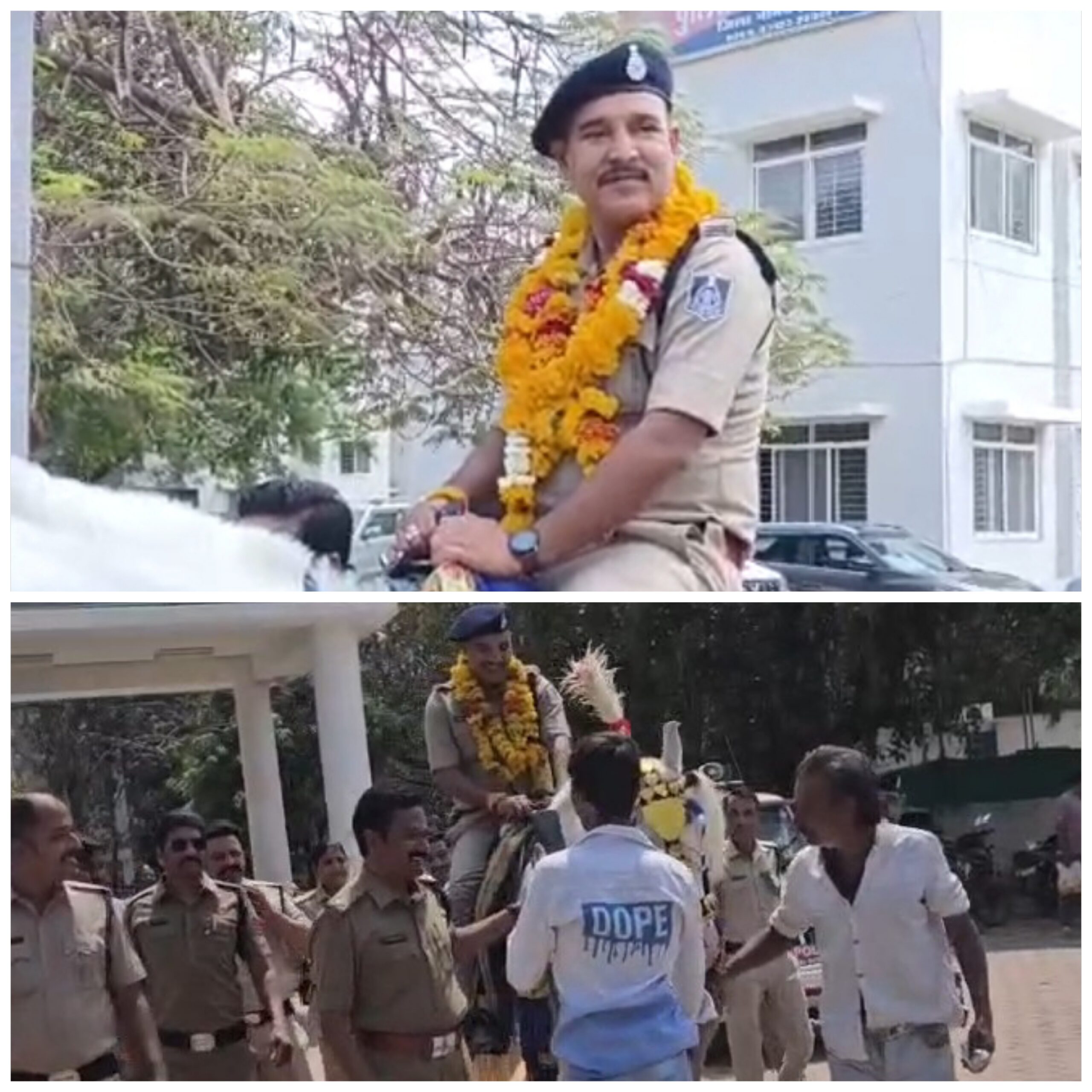 नीमच केंट टीआई नीलेश अवस्थी की अनोखी विदाई, घोड़े पर सवार होकर मनासा के लिए हुए रवाना