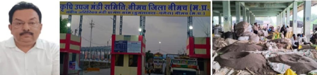 मंडी टेक्स 34 करोड़,संकलन 100 करोड़ के पार नीमच कृषि उपज मंडी ने रचा इतिहास, प्रदेश में बनाई मजबूत पहचान