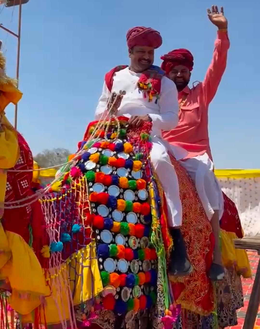 जब ऊंट पर सवार हुए भाजपा नेता पवन पाटीदार, रायसिंगपुरा में दिखा राजस्थानी परंपरा का अनूठा रंग, पढ़े पूरी खबर।