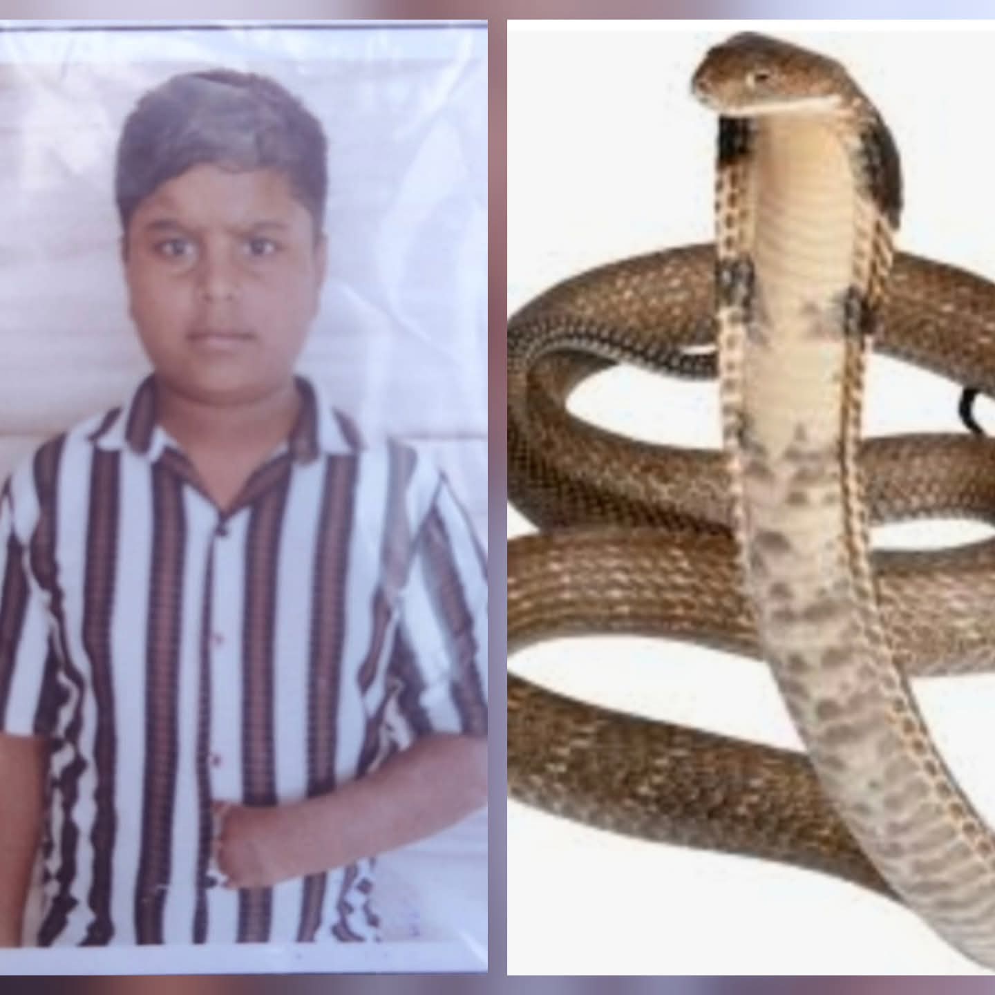 रामपुरा में सर्पदंश से मासूम की मौत, परिवार में मचा कोहराम,उपचार के लिए ले जाते समय रास्ते में टूटी सांसें, 14 वर्षीय अली की मौत से नगर में शोक,ब्यूरो रिपोर्ट फ़िरोज़ गौरी