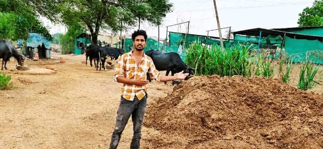 1 गाय और 1 भैंस से शुरू किया सफर, 26 साल की उम्र में खड़ा कर दिया 30 लाख का डेयरी मॉडल