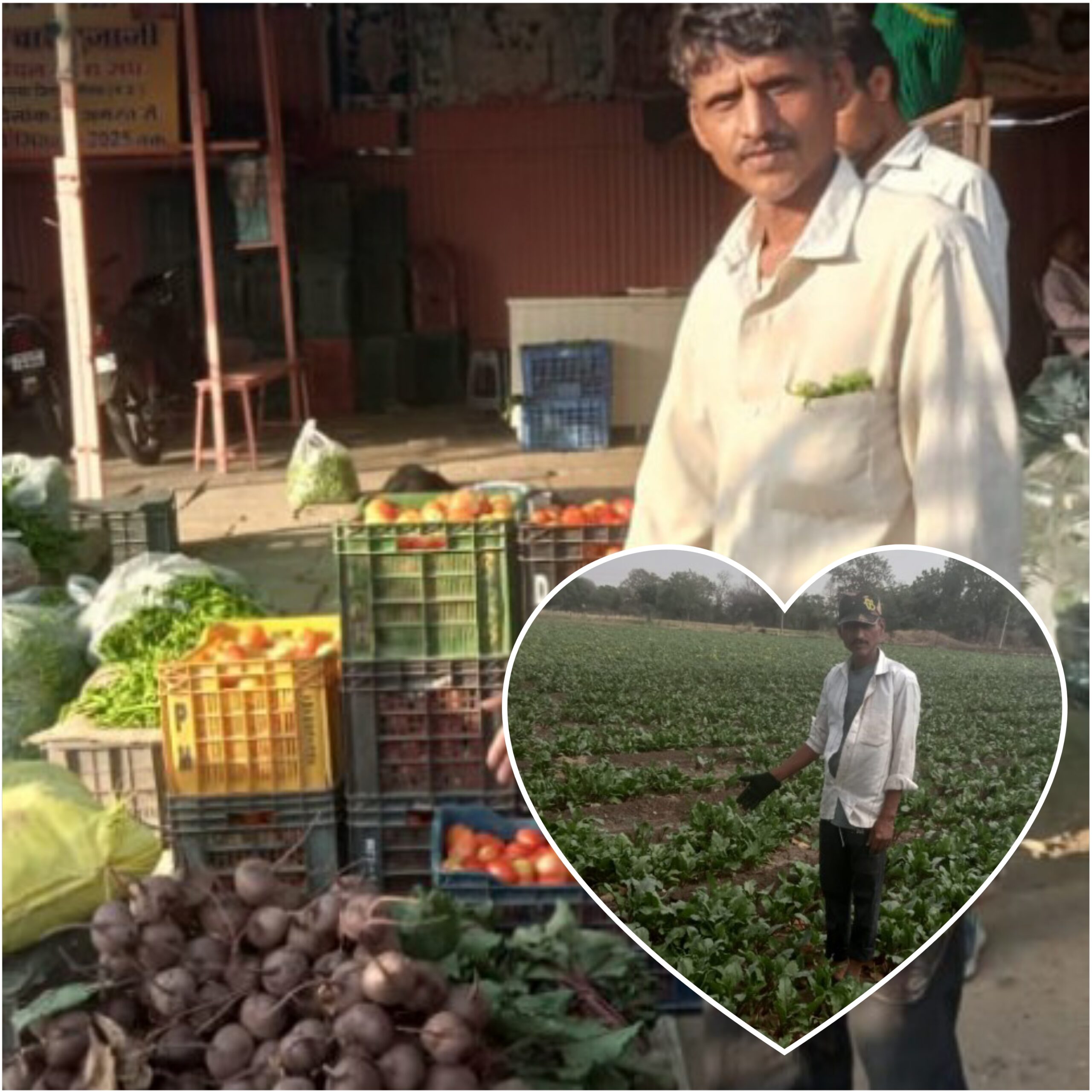 सफलता की कहानी,राष्ट्रीय कृषि विकास योजना से बदली नलखेड़ा के किसान की तकदीर,चुकन्दर उगाकर हरिशंकर राठौर ने कमाया 1.45 लाख का शुद्ध लाभ