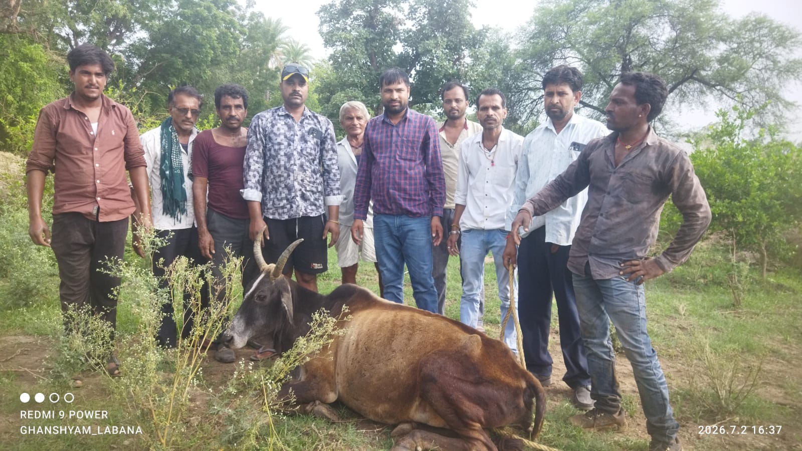 सिंगोली में मानवता की मिसाल: गहरे खड्डे में गिरी गौमाता को 2 घंटे की मशक्कत के बाद बचाया पढ़ें महेंद्र सिंह राठौड़ की ये खबर 